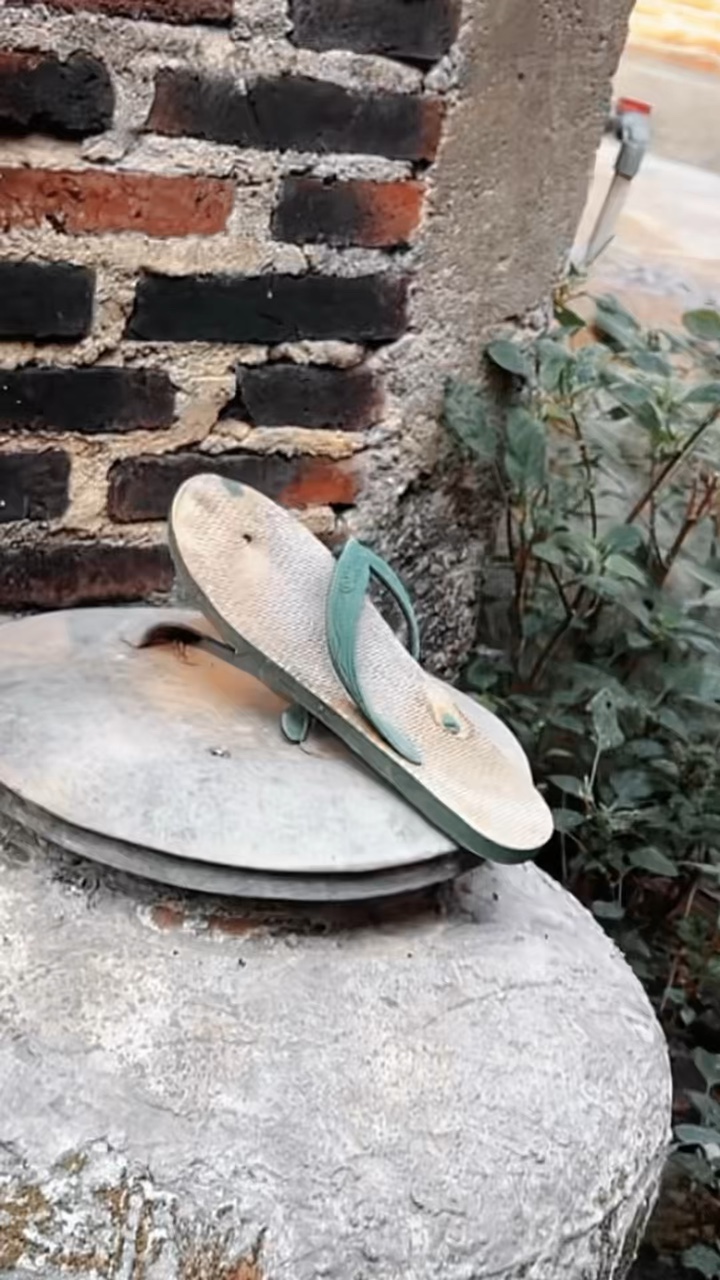 speedramp 