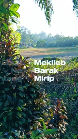 Bali bule jepang