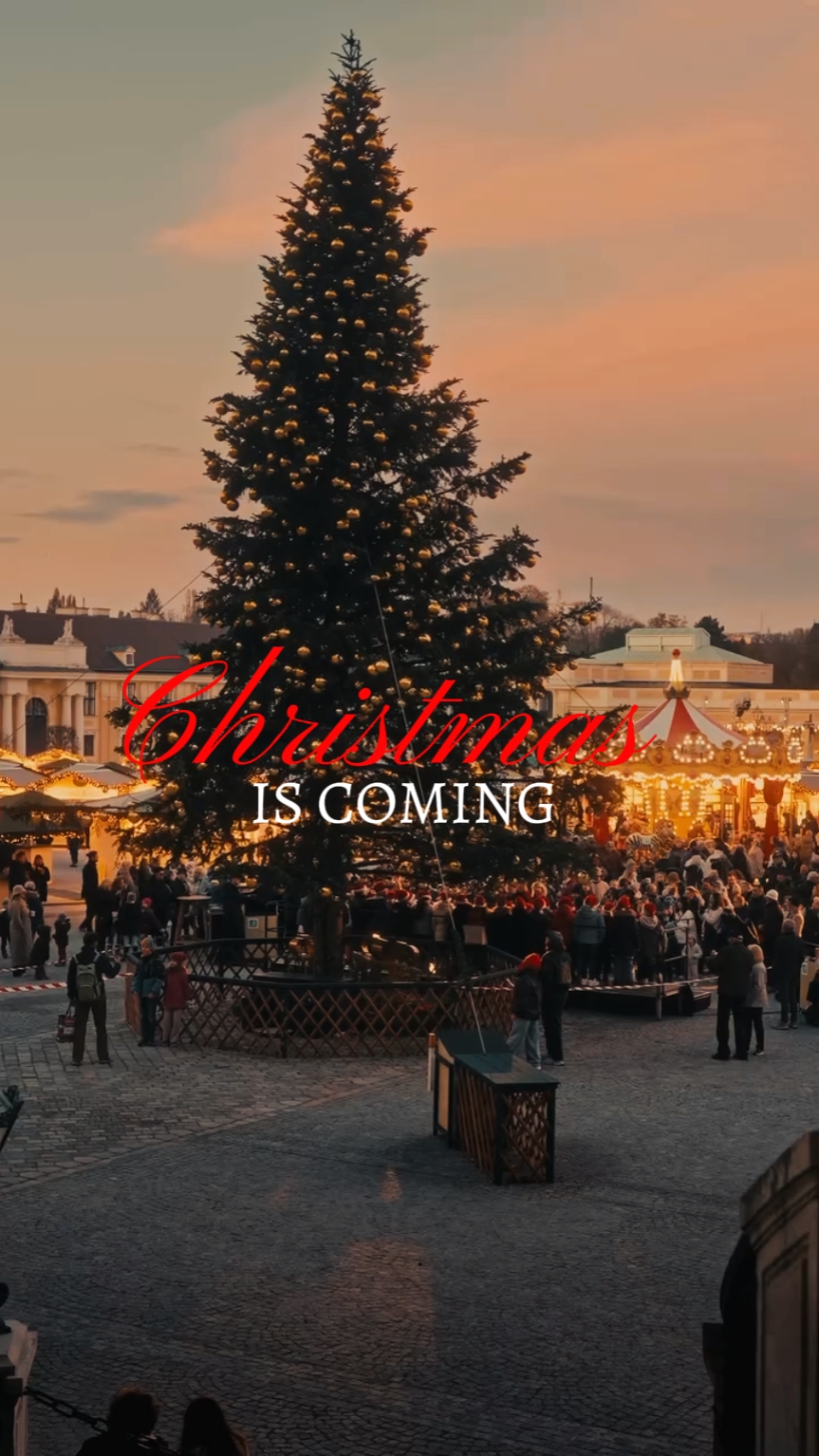 Se acerca la Navidad 