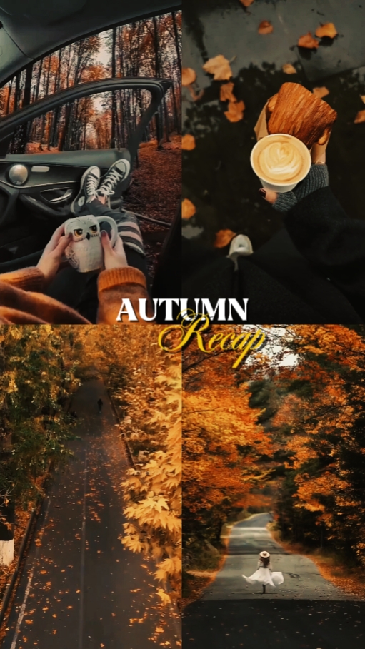 Autumn Recap 