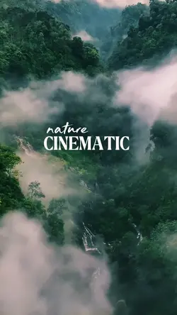 nature cinematic 
