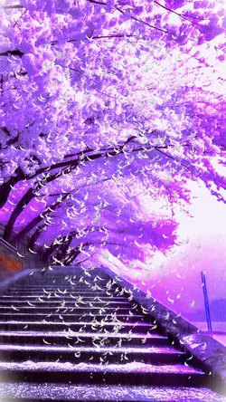 🍀NaTuRe🍀#viral #stun