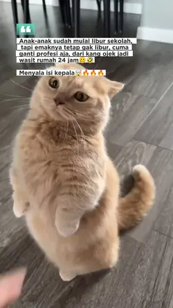 Mulai libur sekolah 