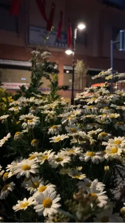 #babalar günü şablon