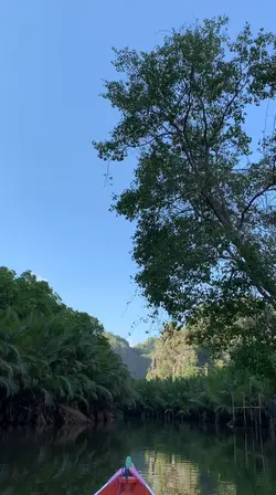 nature