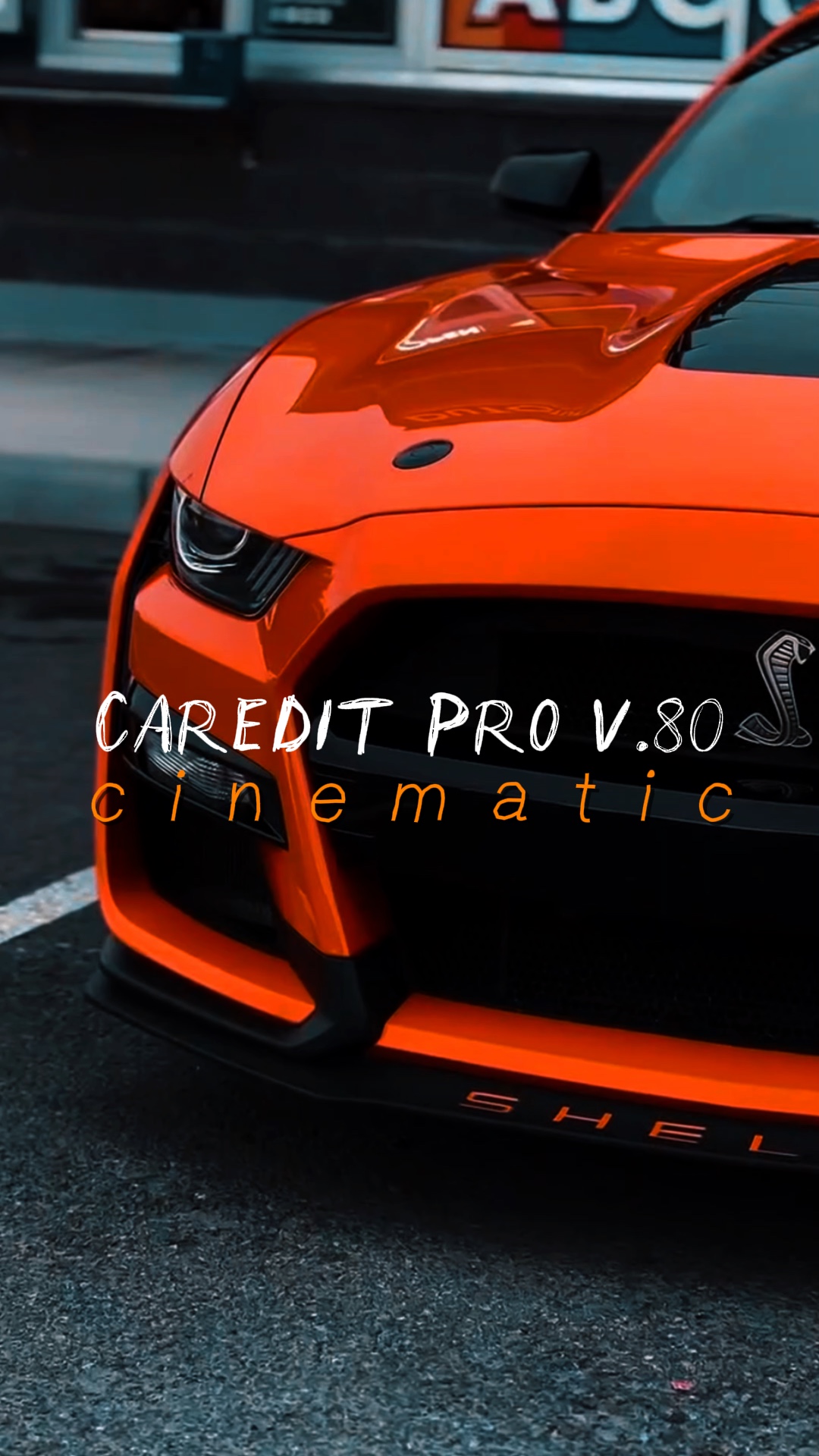 CAREDIT | PRO V.80