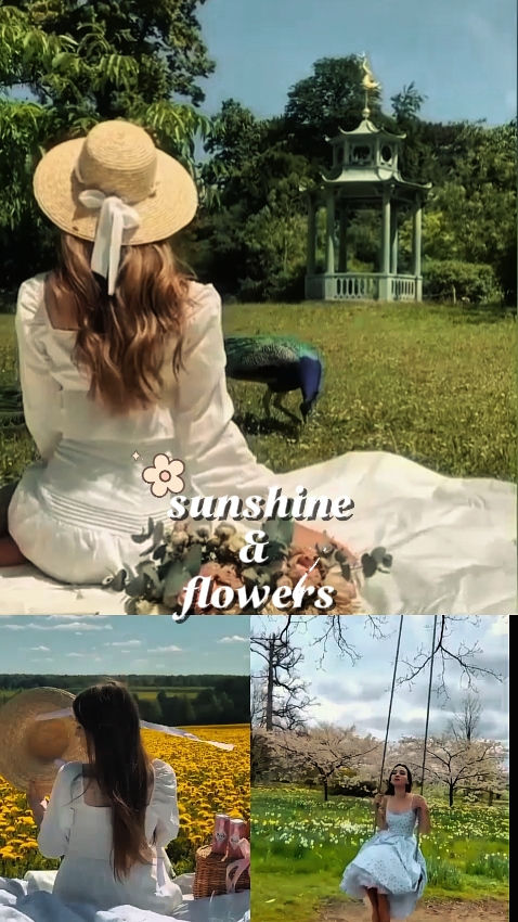 Sol y flores