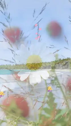 個人、企業向けの動画制作案内💁‍♀️