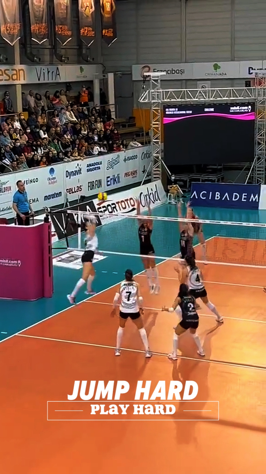 Deportes - Voleibol