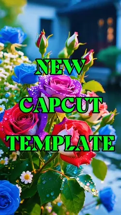 New CapCut Template