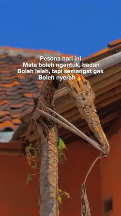pesona hari ini