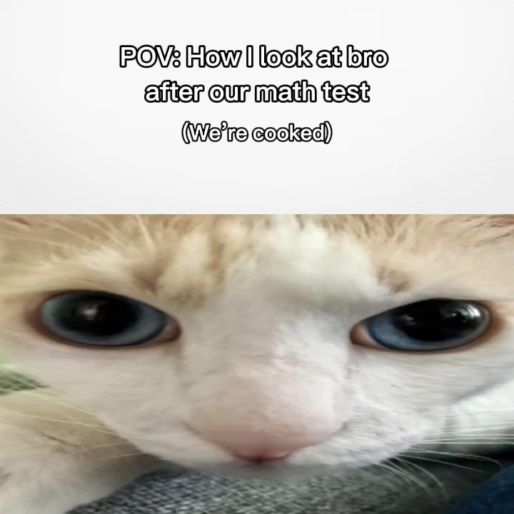Ponto de vista do meme do olhar do gato