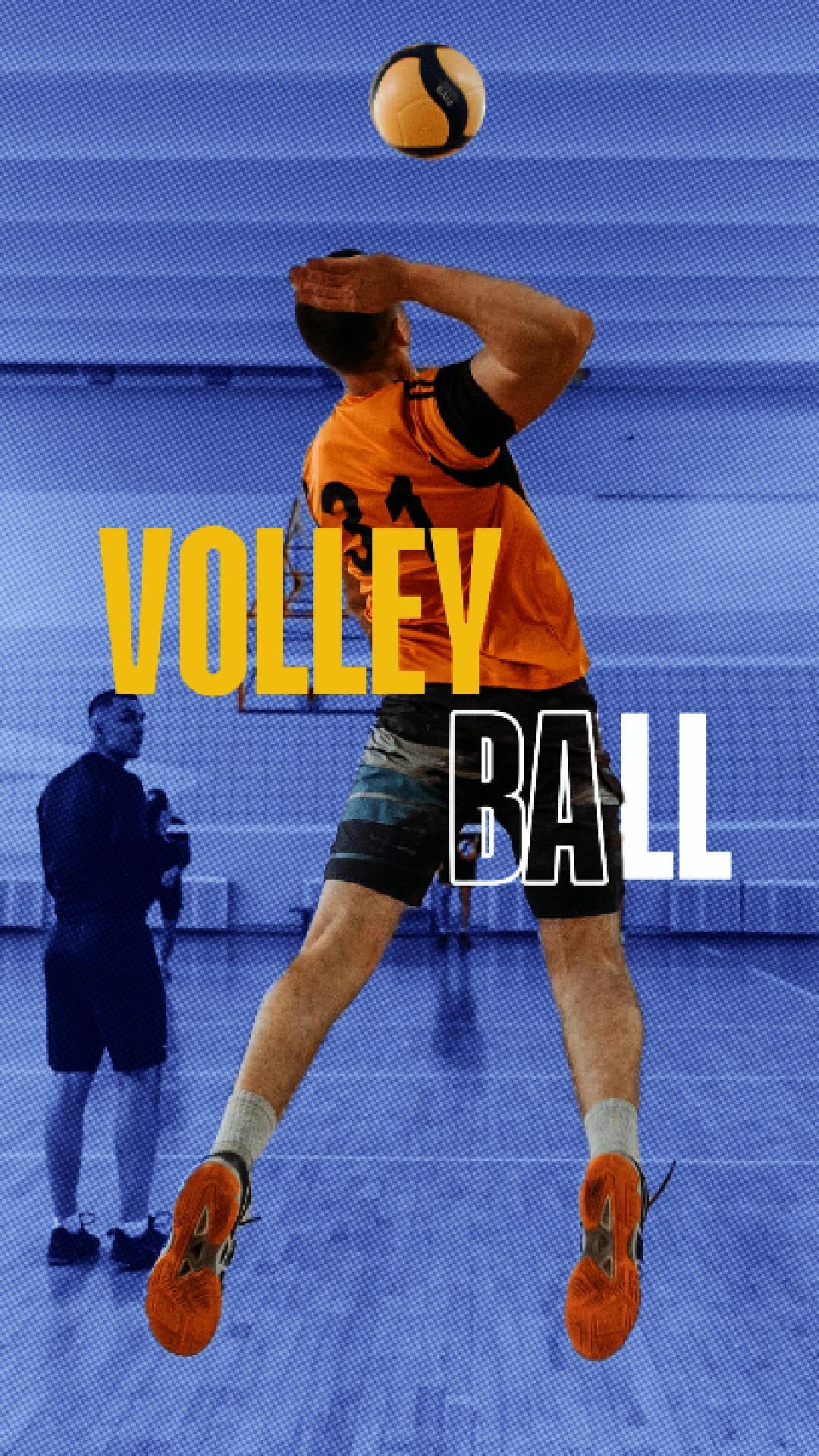 Voleibol