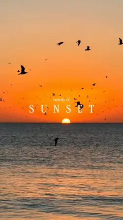 beauty of sunset
