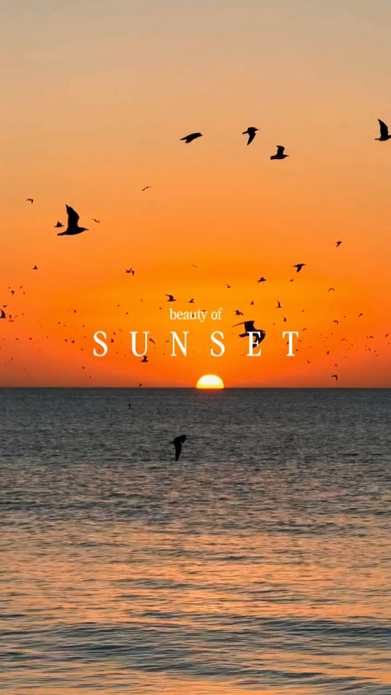 beauty of sunset