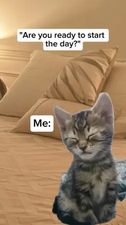 start the day meme