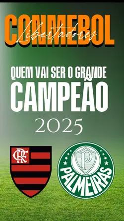 flamengo e palmeiras