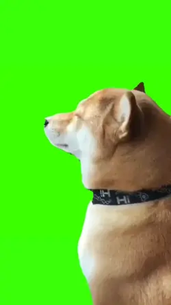 trend anjing joget