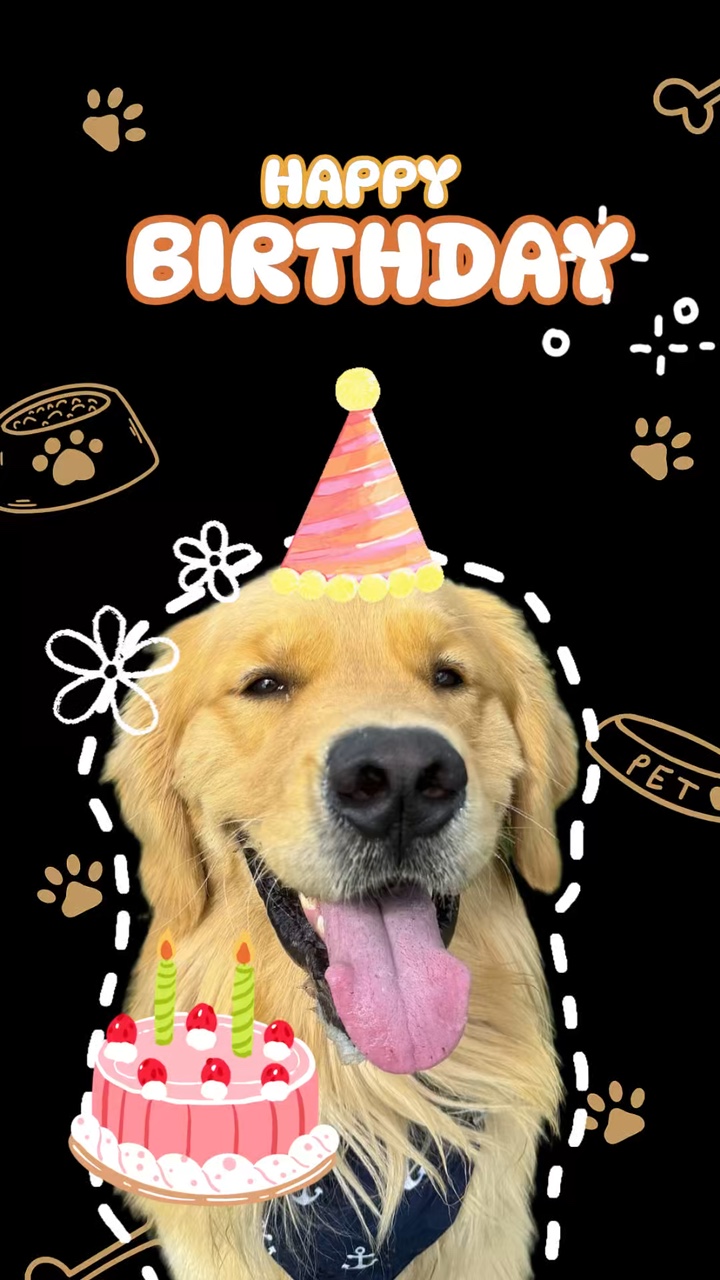 Geburtstag mein Hund