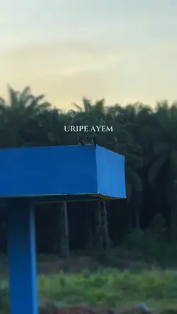 uripe ayem 