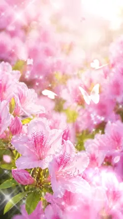 flower💕