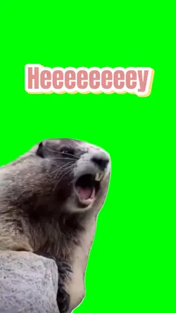 Heeeeeey