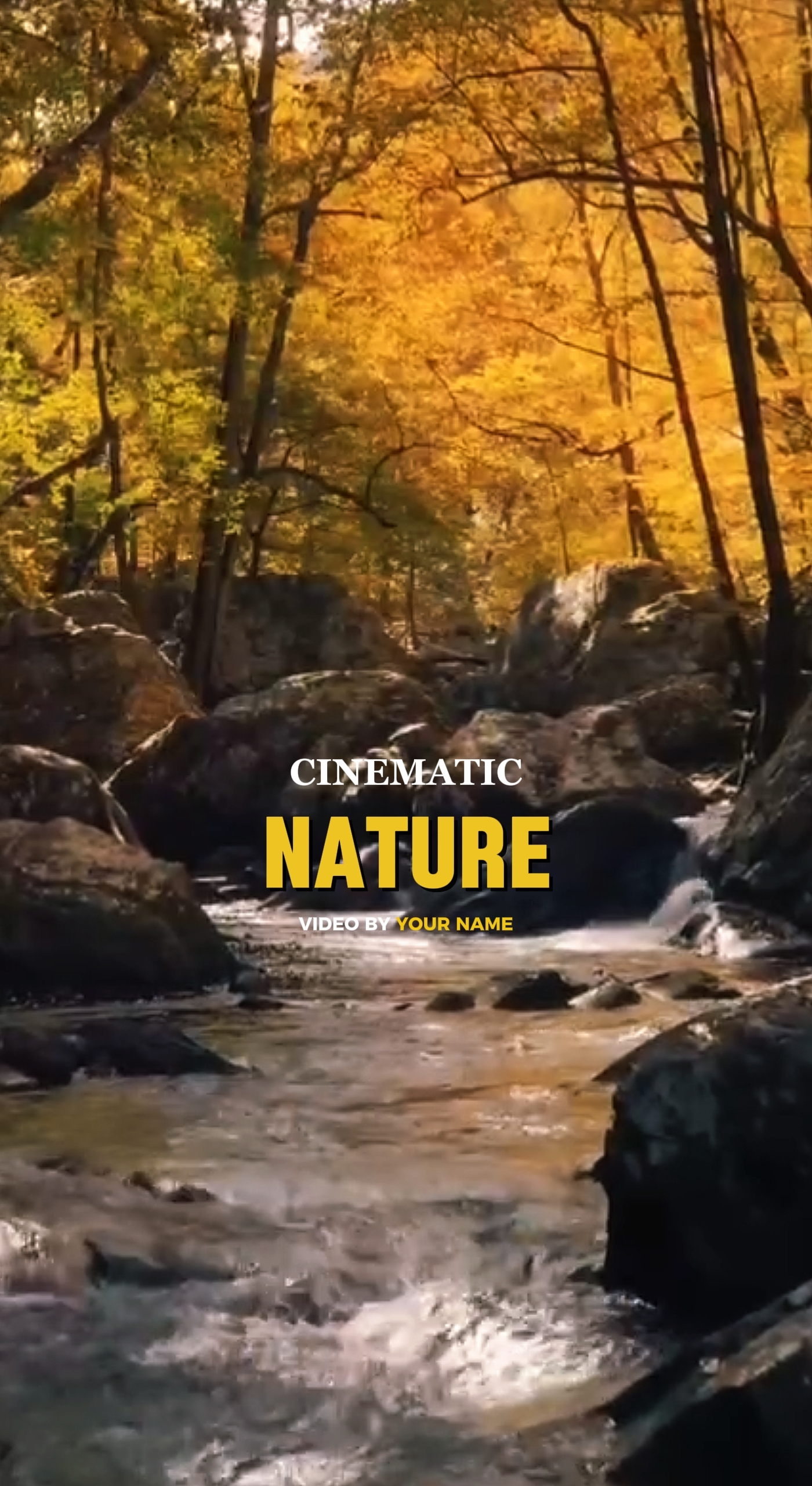 NATURE CINEMATIC