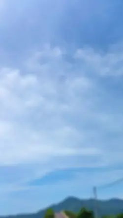 vlog maling kelapa