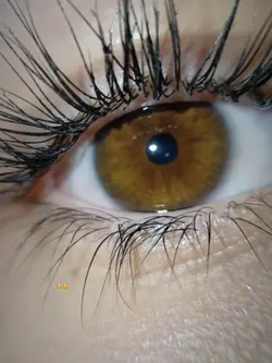 Eyes color