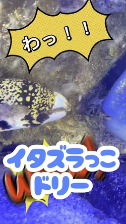 2動画　短尺