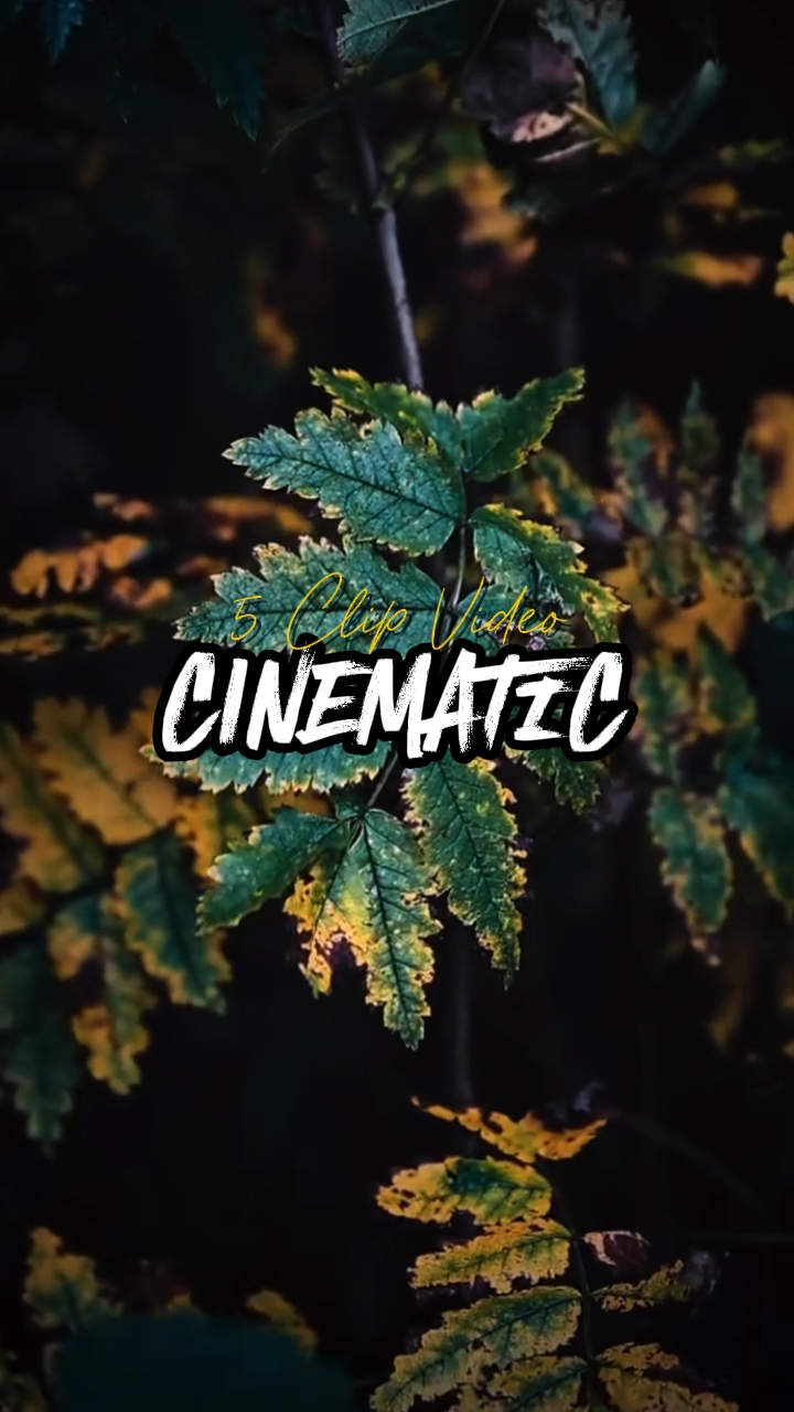 5 Clip Video 