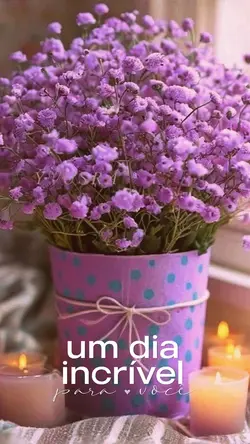 um dia incrível pra
