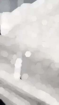 ضايع العقل من دونه