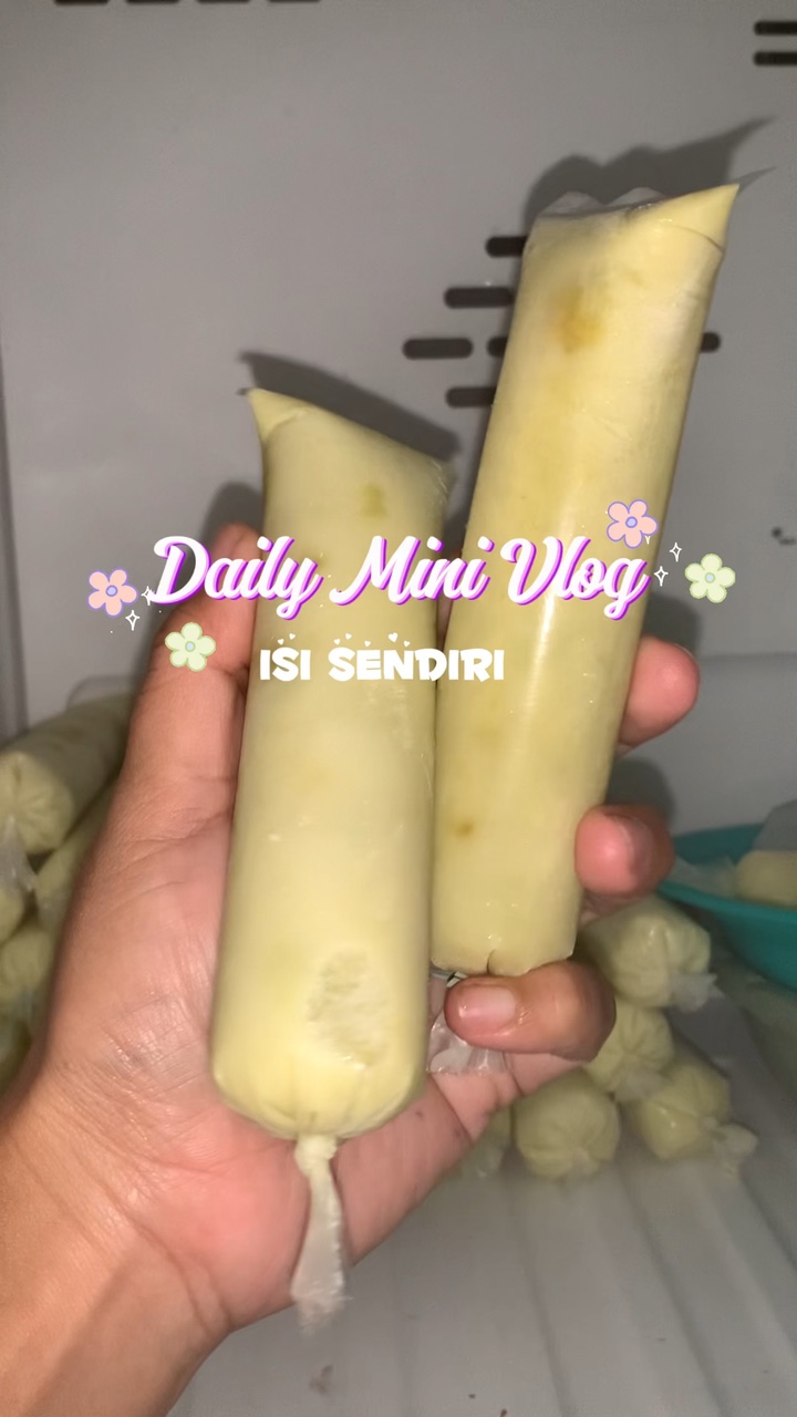 Mini Vlog Diário