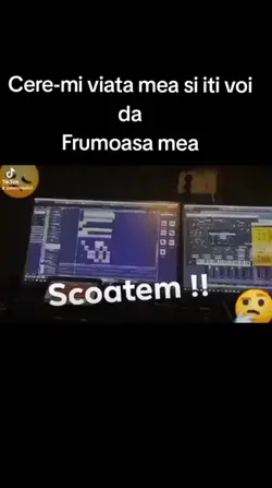 melodie 