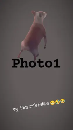 গ গ গ 