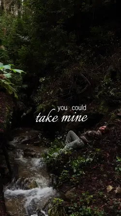 risk it all - bruno