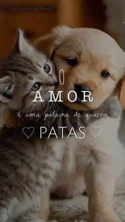 amor de 4 patas