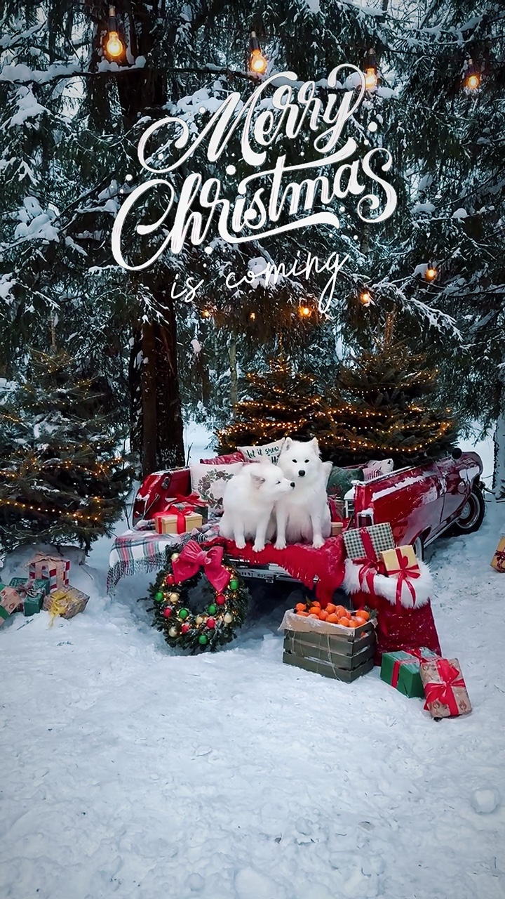 Se acerca la Navidad