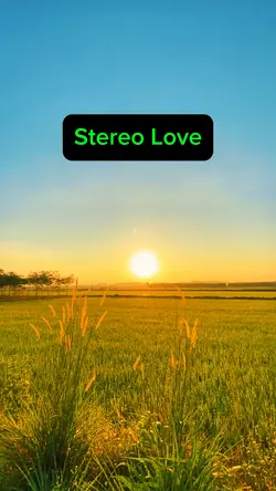 Stereo Love 