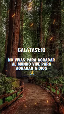 Textos bíblicos 🤍🙏