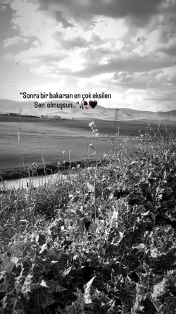 yolcu 