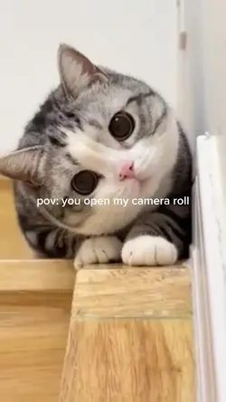 you open my camera