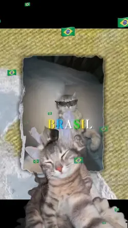 🇧🇷