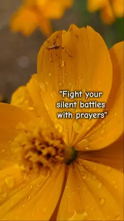 fight your battles