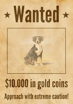 Wanted Poster Print