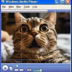 Windows player