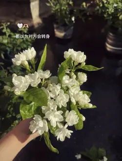 🥺🫶🏻