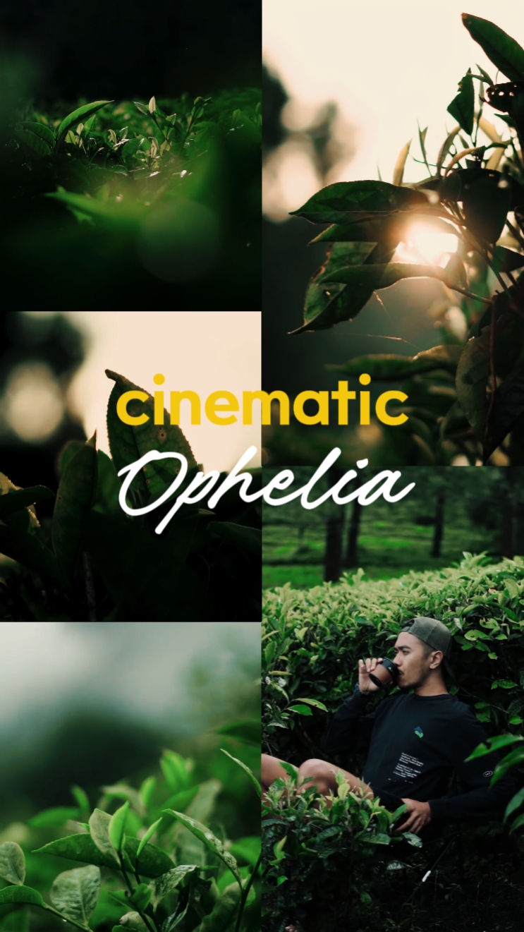 Ophelia-Taylor Swift