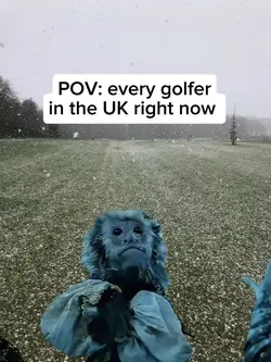 Golfing meme